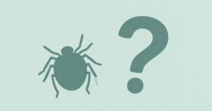 Ilustración de una garrapata junto a un signo de interrogación, representando el debate sobre si la enfermedad de Lyme se transmite por vía sexual
